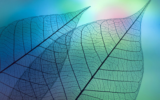 1088860 (a): :1920x1200